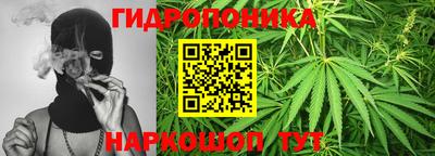 дурь Заводоуковск
