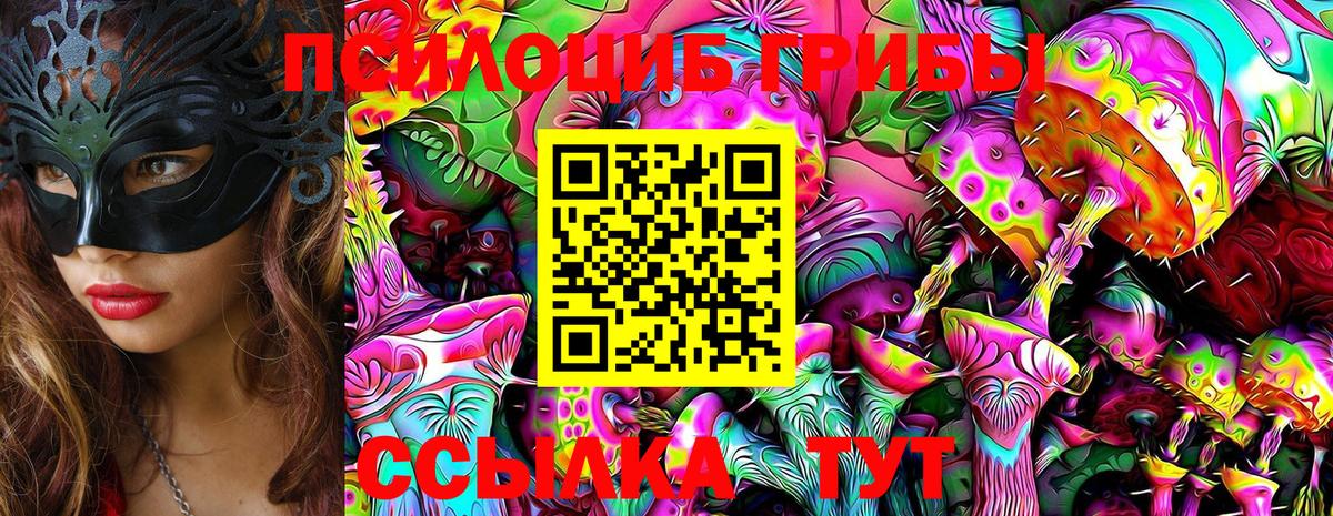 Галлюциногенные грибы прущие грибы  Галлюциногенные грибы Magic Shrooms  Камень-на-Оби  Вход с VPN 